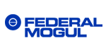 FEDERAL MOGUL-